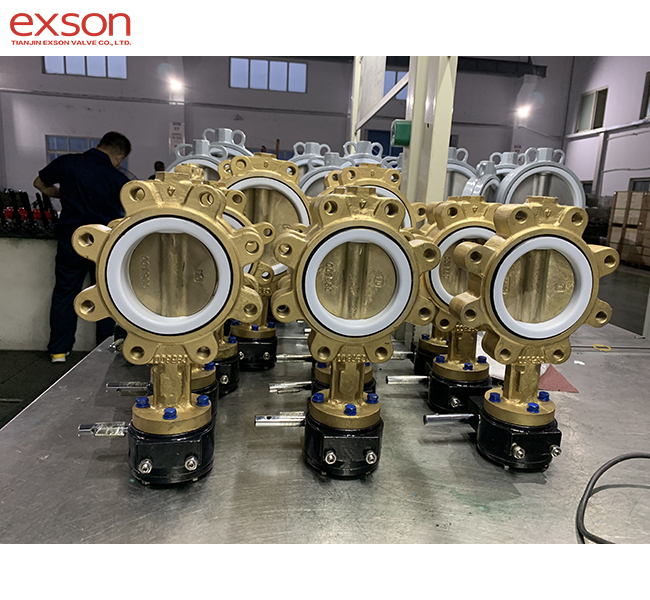 Aluminum bronze lug type butterfly valve